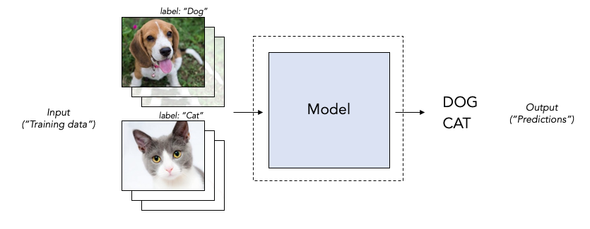 Training an ML black box